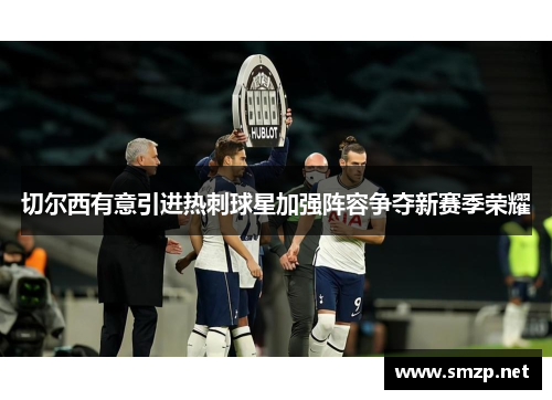 切尔西有意引进热刺球星加强阵容争夺新赛季荣耀