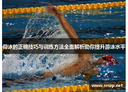 仰泳的正确技巧与训练方法全面解析助你提升游泳水平
