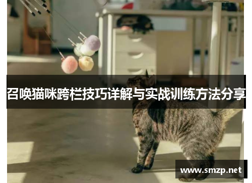 召唤猫咪跨栏技巧详解与实战训练方法分享