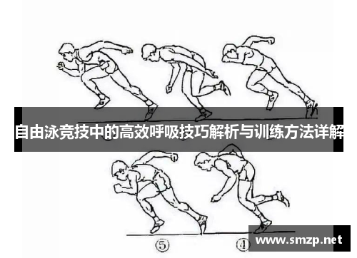 自由泳竞技中的高效呼吸技巧解析与训练方法详解