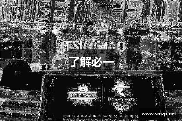 了解必一